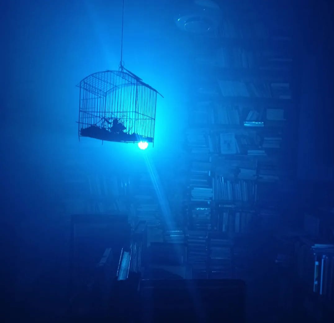 WhatsApp Image 2024-08-04 at 09.37.29